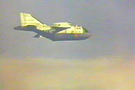 Albatross