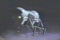 Moon Hopper