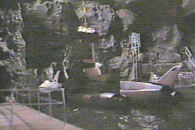Sky-diver base